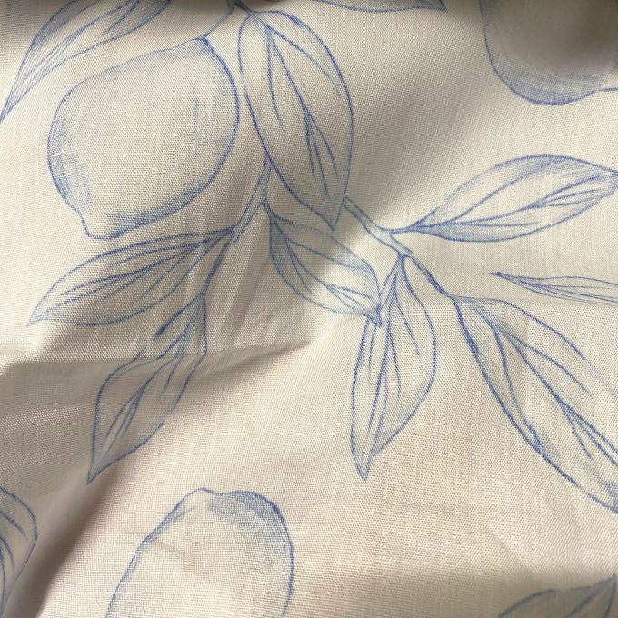 Citron médittérannéen